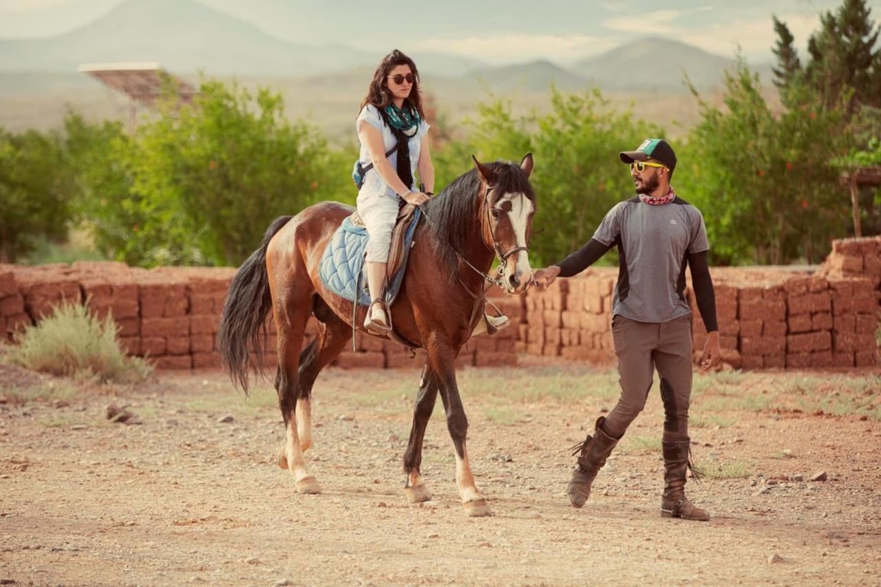 Ecolodge L'Ile De Ouarzazate Tarmigt Bagian luar foto