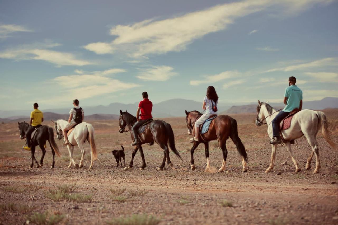 Ecolodge L'Ile De Ouarzazate Tarmigt Bagian luar foto