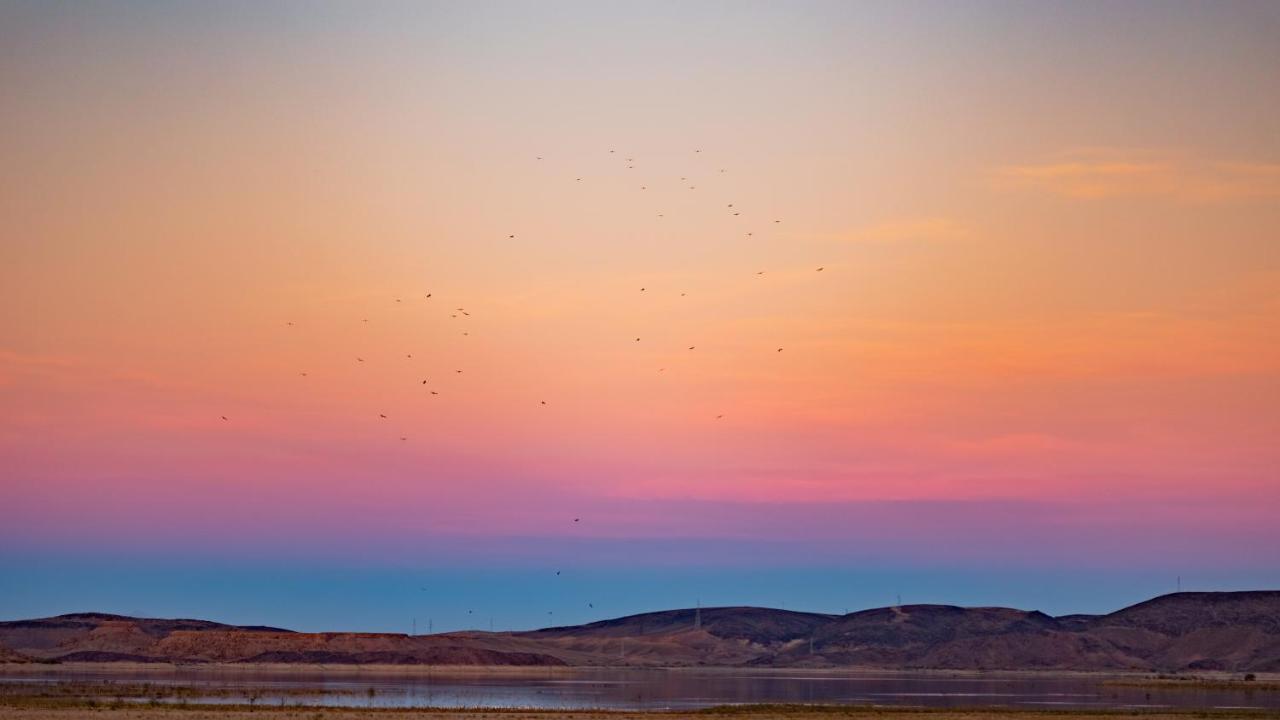 Ecolodge L'Ile De Ouarzazate Tarmigt Bagian luar foto